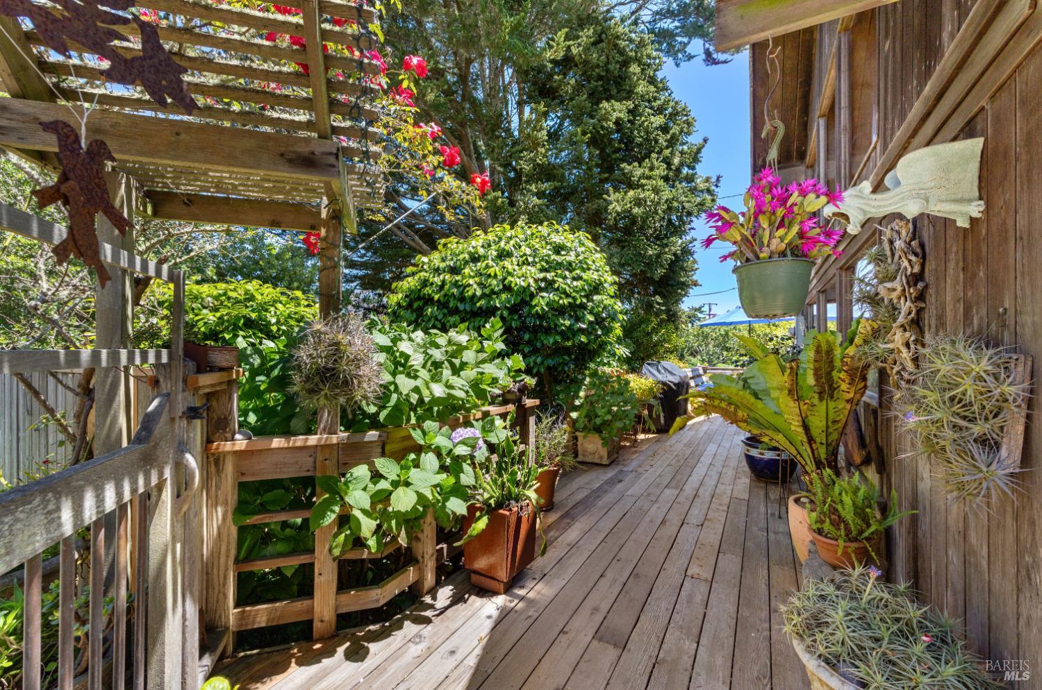 385 Cedar Road Bolinas CA 94924