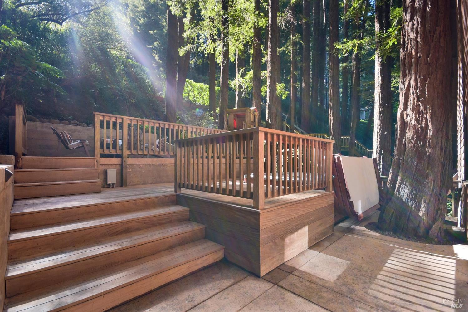 550 Edgewood Avenue Mill Valley CA 94941