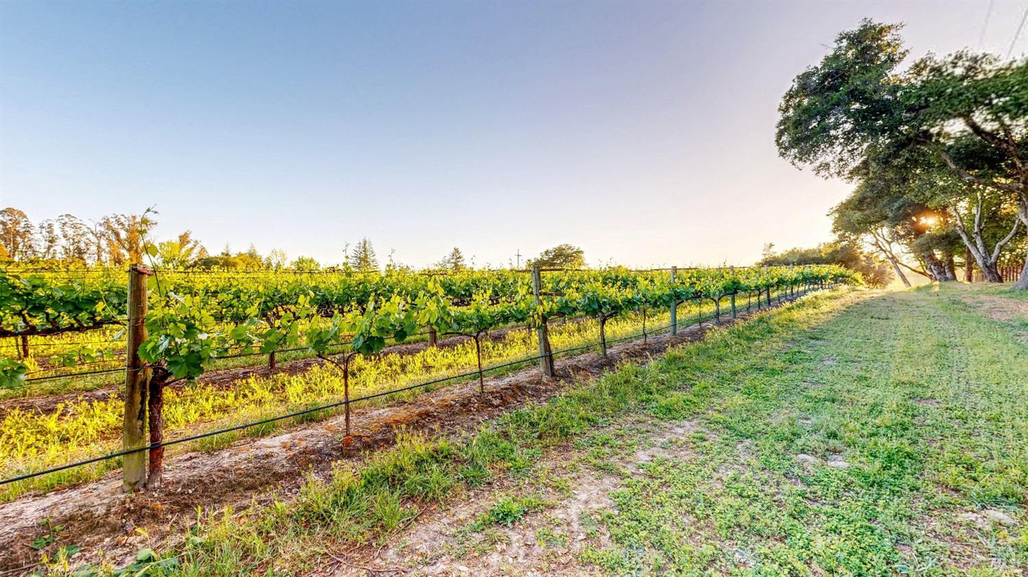 2142 Laguna Road Santa Rosa CA 95401