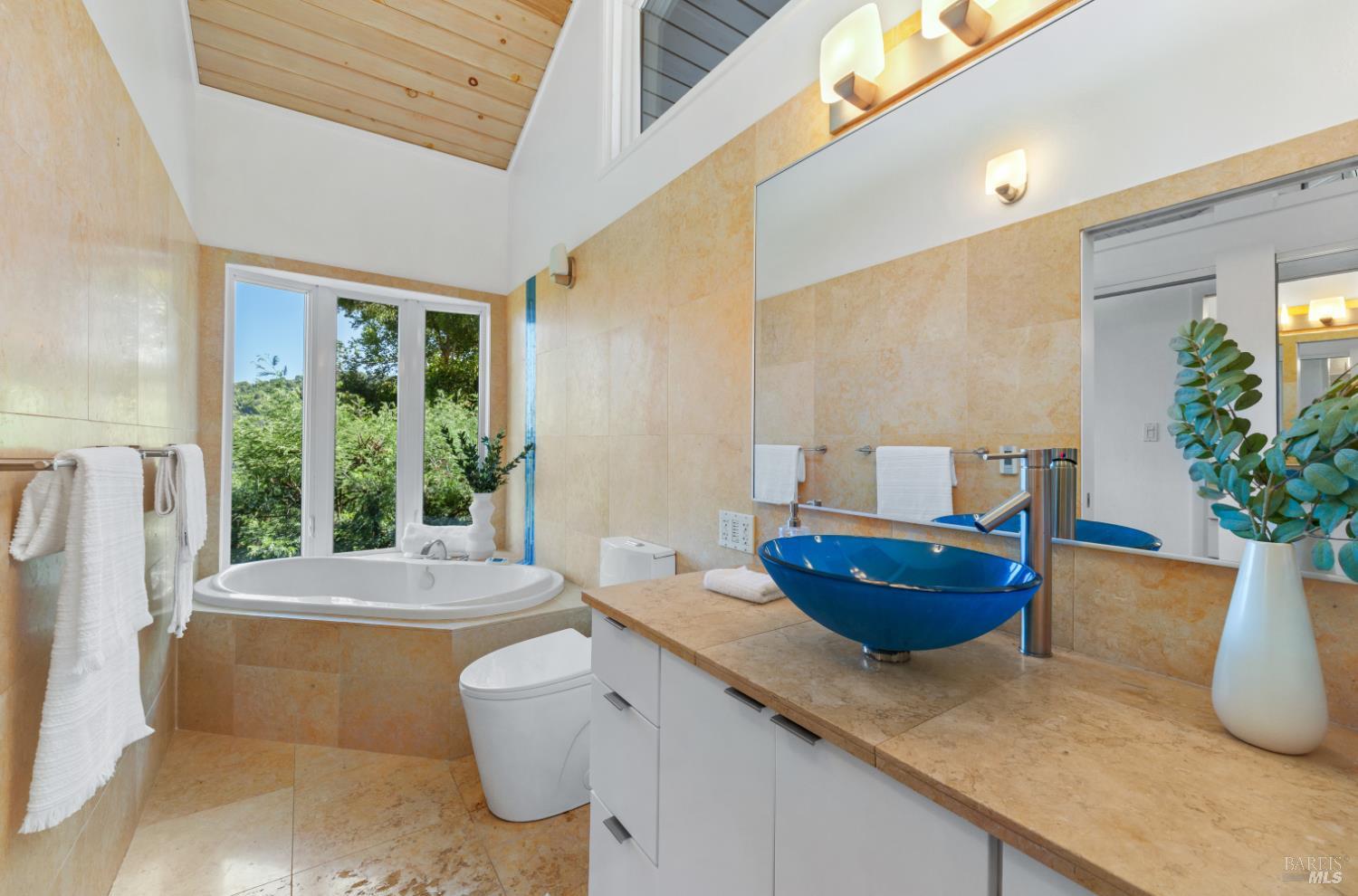 62 Chester Avenue Fairfax CA 94930
