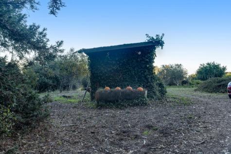 700 Old King Road Petaluma CA 94952