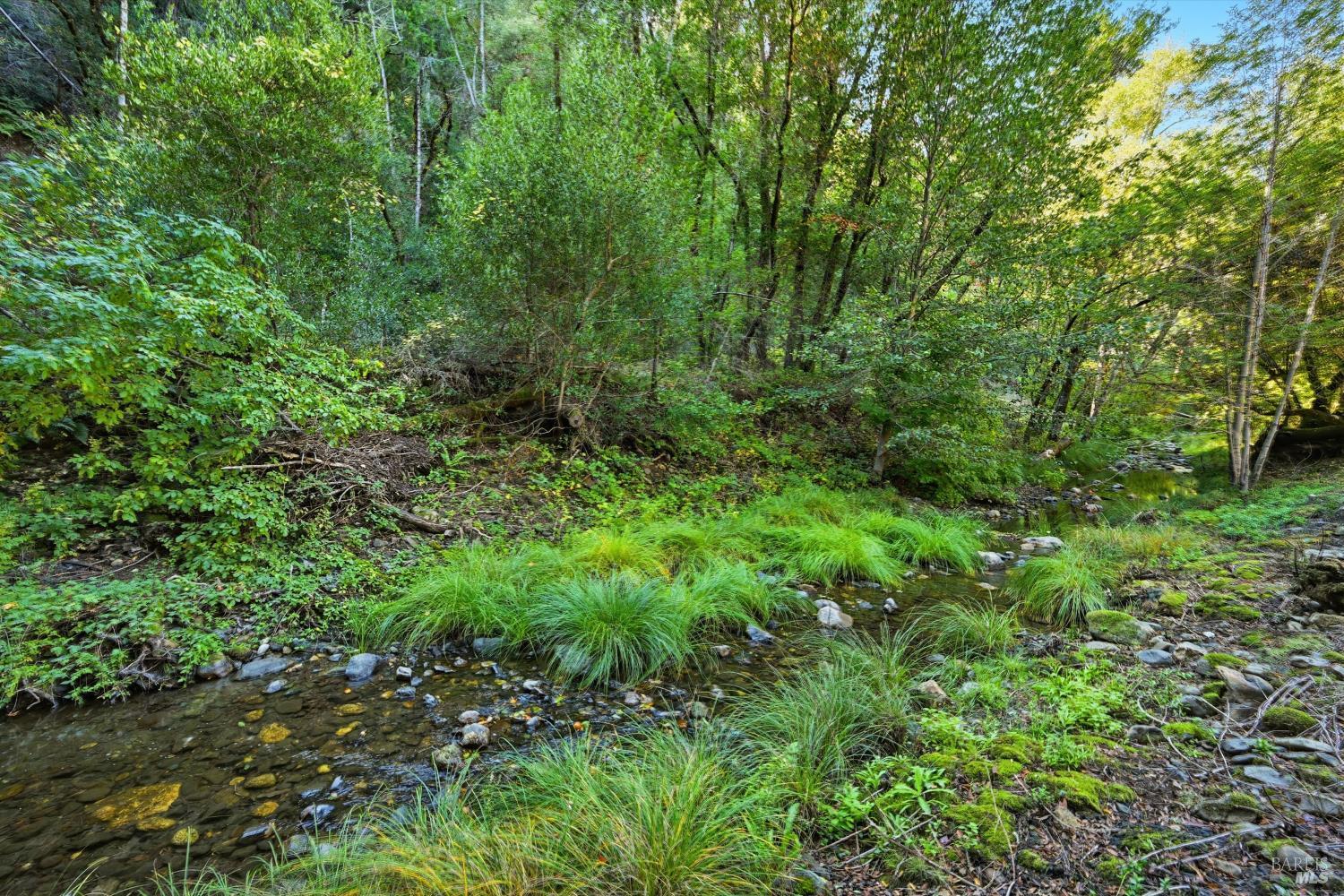 5251 Dry Creek Road Napa CA 94558