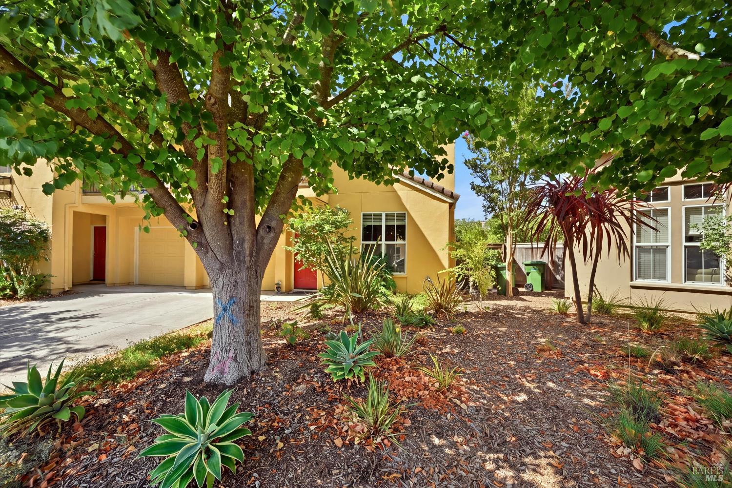 58 Arnold Drive Novato CA 94949