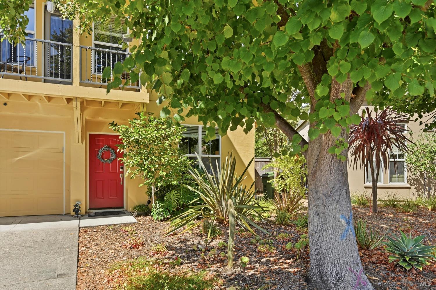 58 Arnold Drive Novato CA 94949