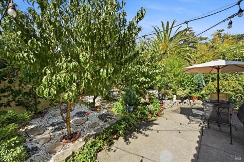 58 Arnold Drive Novato CA 94949