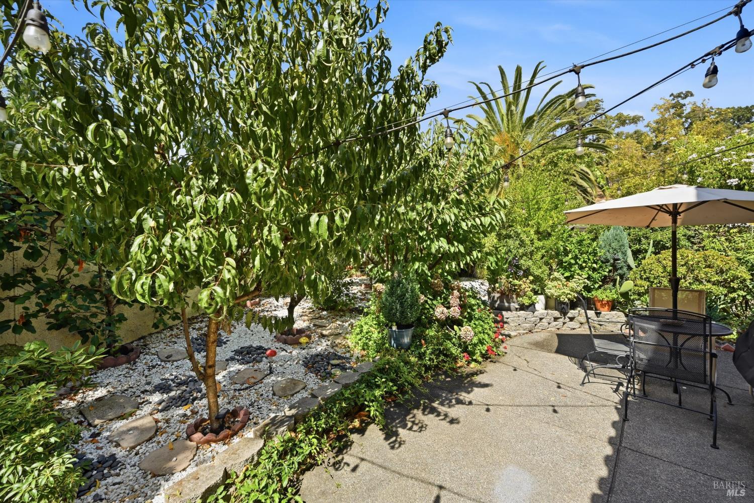 58 Arnold Drive Novato CA 94949
