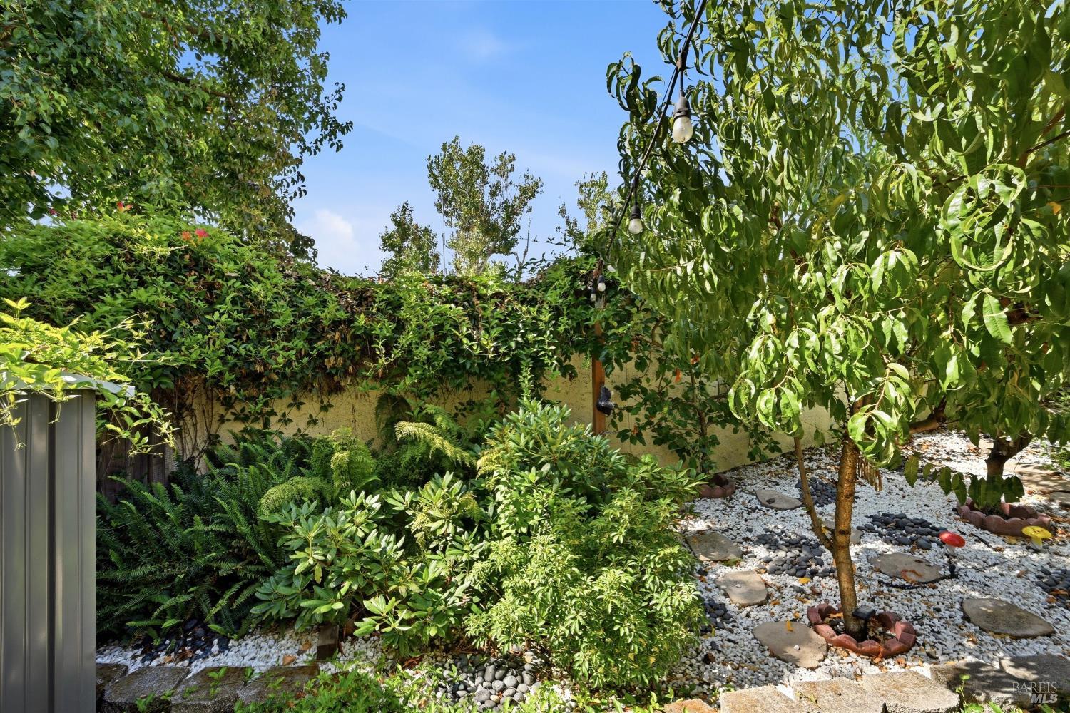 58 Arnold Drive Novato CA 94949
