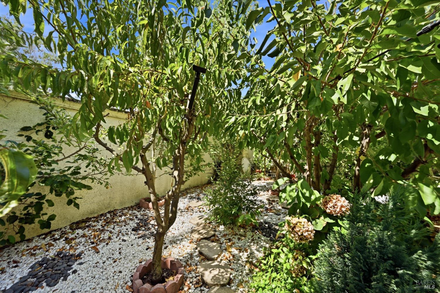 58 Arnold Drive Novato CA 94949