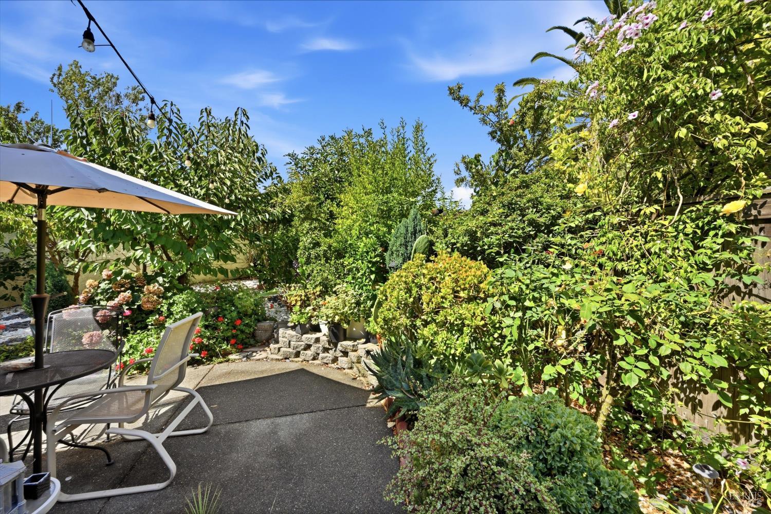 58 Arnold Drive Novato CA 94949