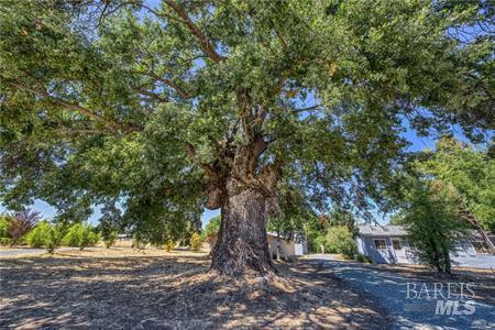 1980 Big Valley Road Finley CA 95435