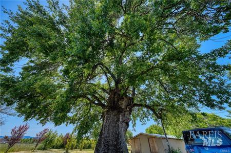 1980 Big Valley Road Finley CA 95435