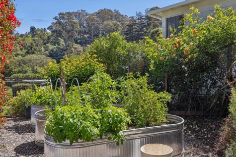 485 Montecito Avenue Corte Madera CA 94925