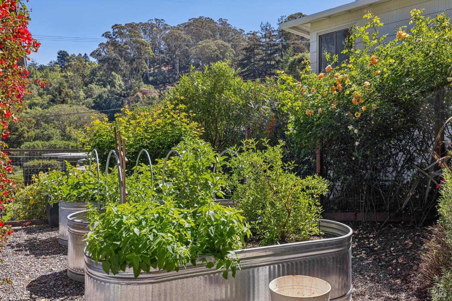 485 Montecito Avenue Corte Madera CA 94925