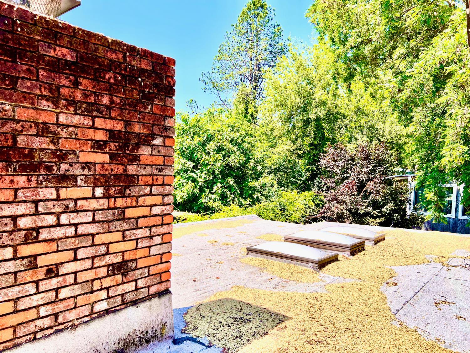 308 Coast Street Willits CA 95490