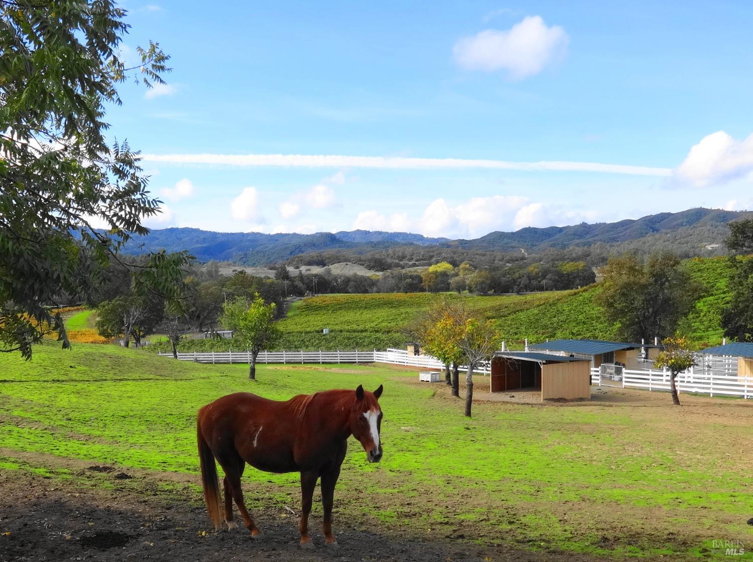 8900 Wight Way Kelseyville CA 95451