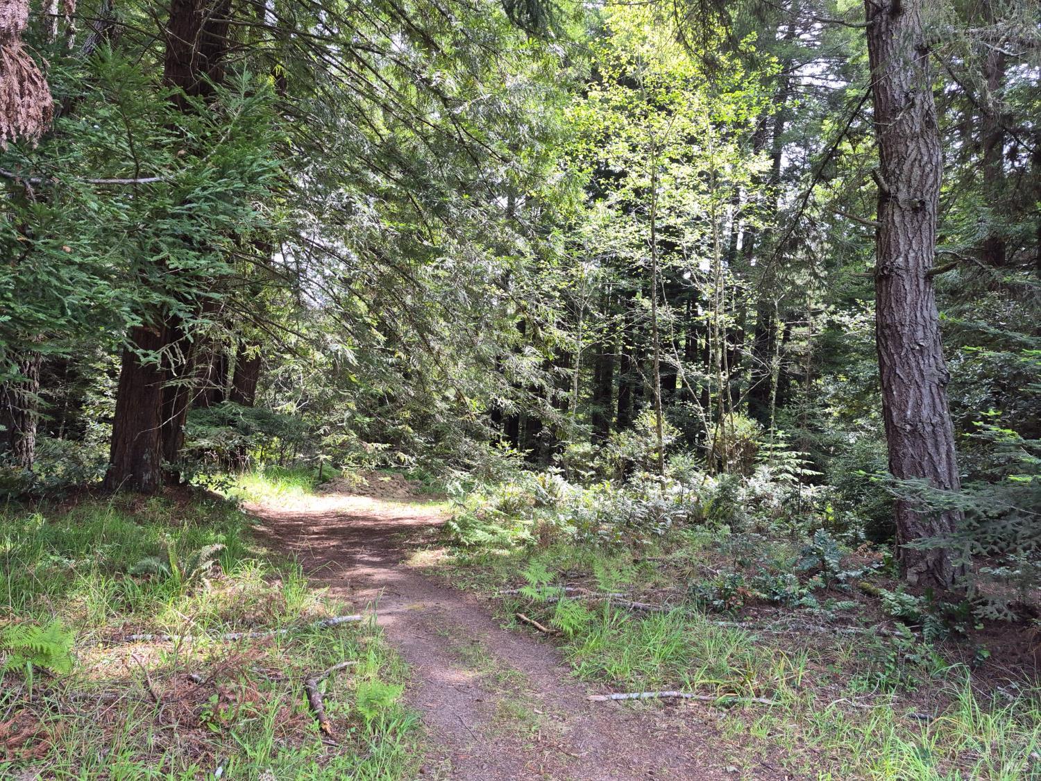 20301 Lyta Way Fort Bragg CA 95437