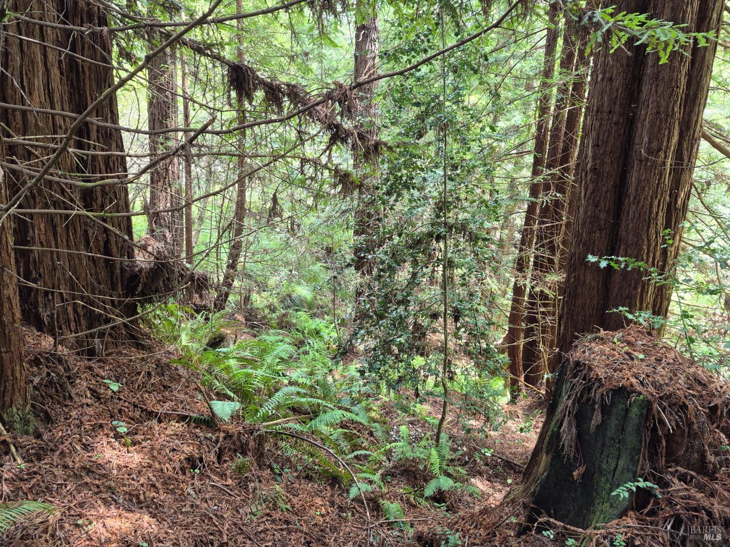 20301 Lyta Way Fort Bragg CA 95437