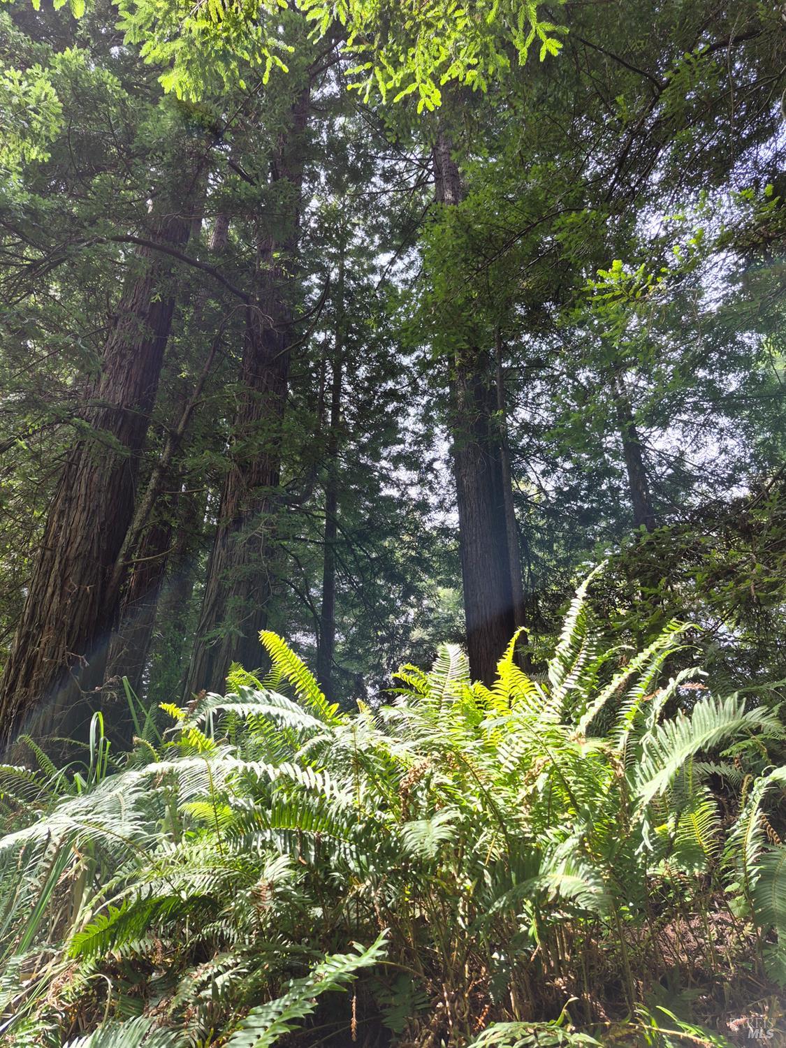 20301 Lyta Way Fort Bragg CA 95437