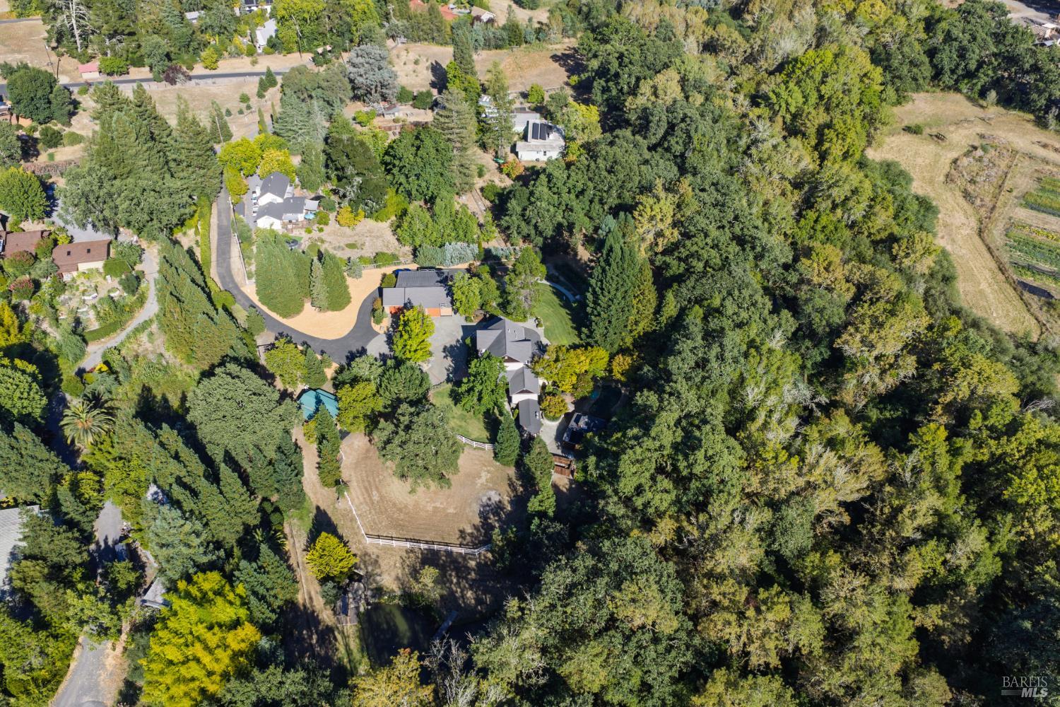 6501 Ellen Lane Forestville CA 95436