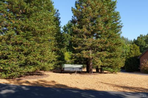 6501 Ellen Lane Forestville CA 95436