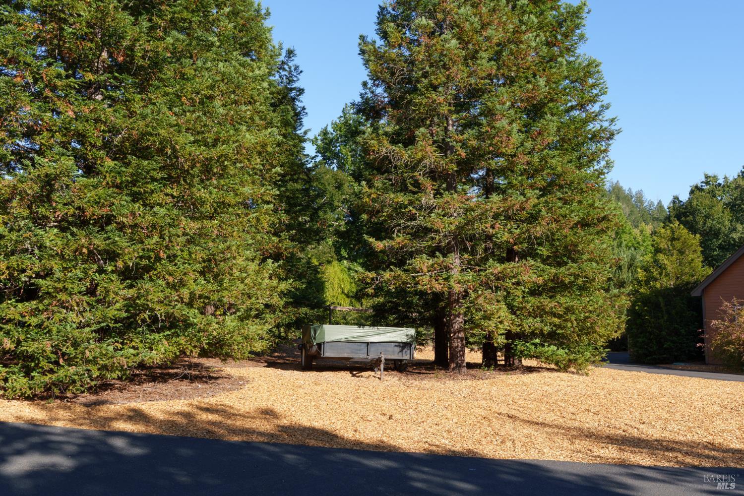 6501 Ellen Lane Forestville CA 95436