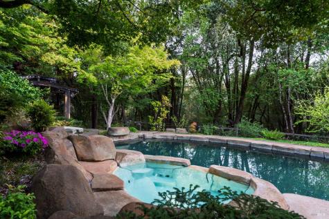 6501 Ellen Lane Forestville CA 95436