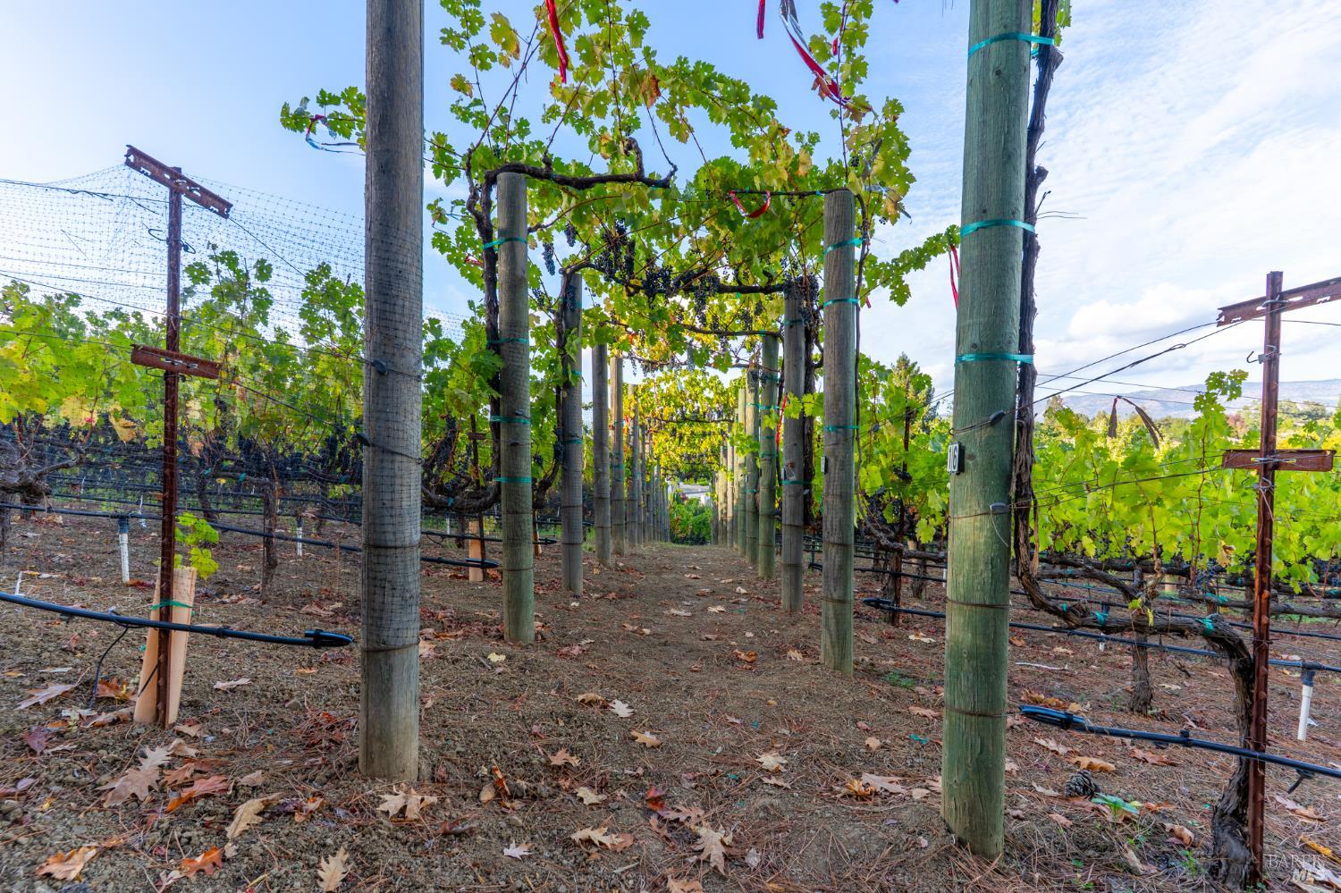 1125 Westview Drive Napa CA 94558