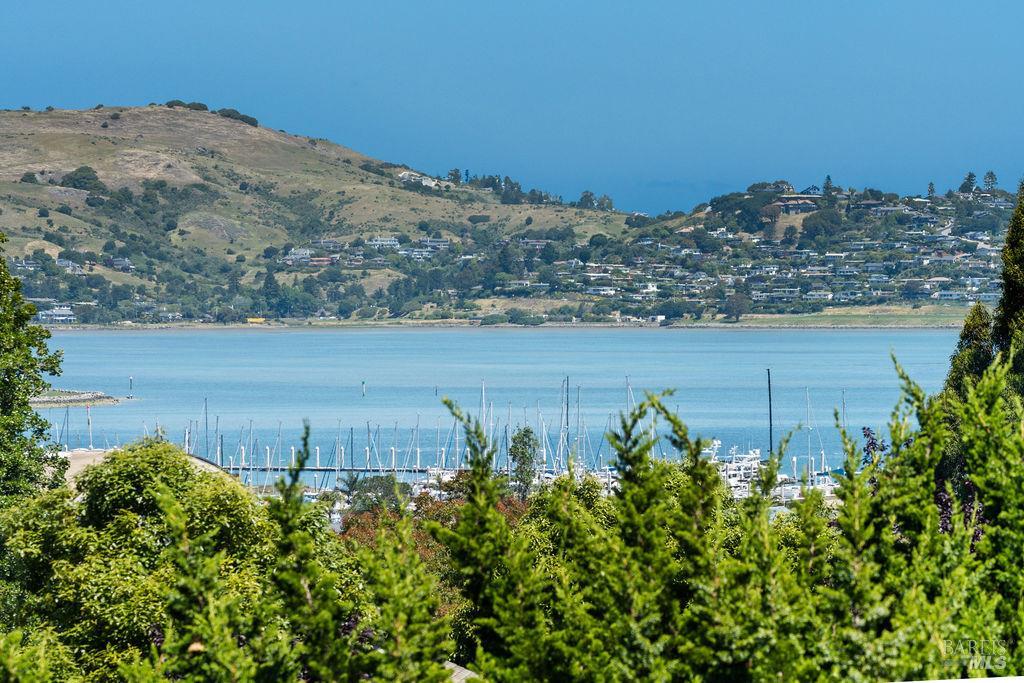 86 Marin Avenue Sausalito CA 94965