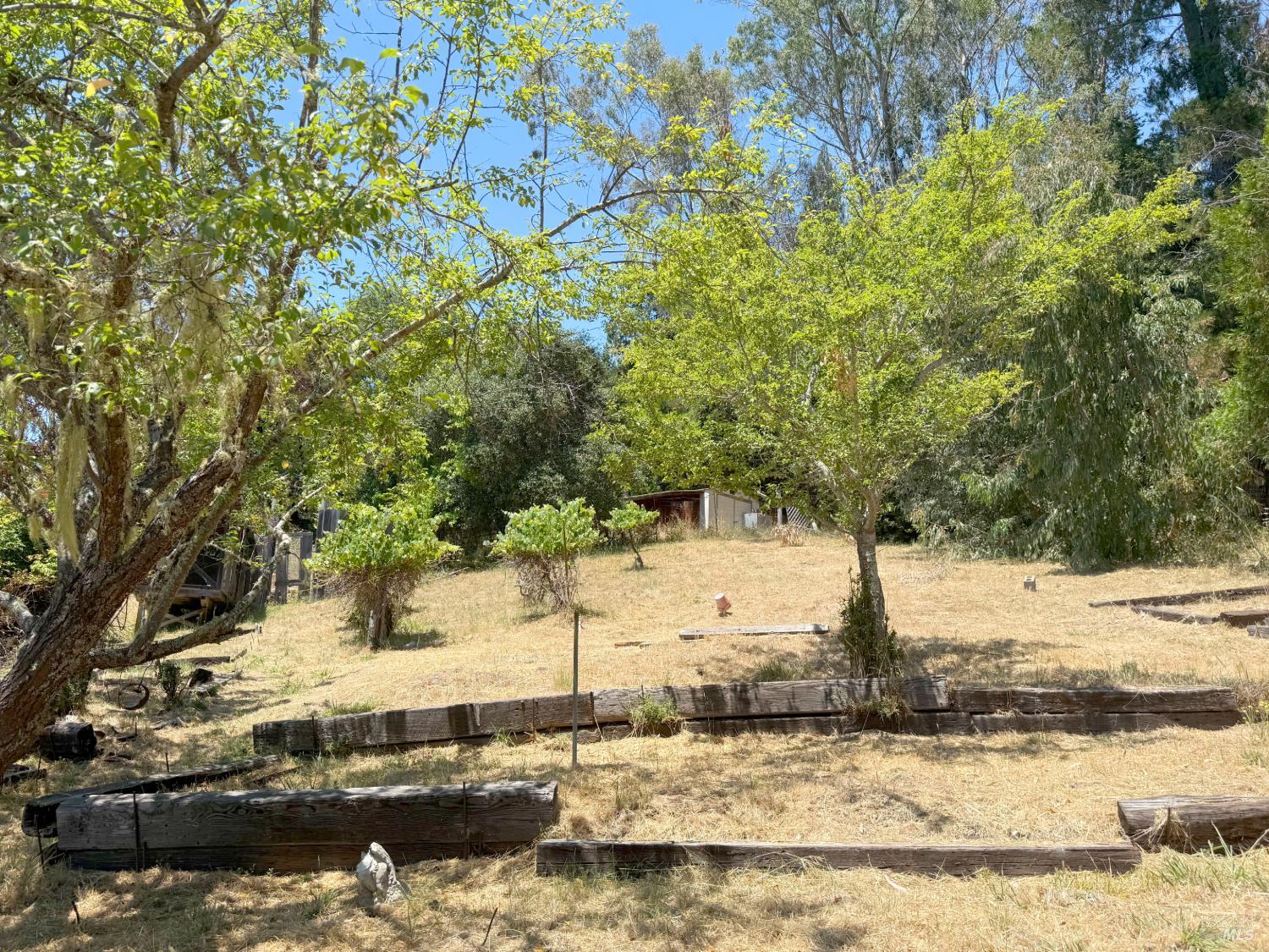 8900 Surprise Valley Road Comptche CA 95427