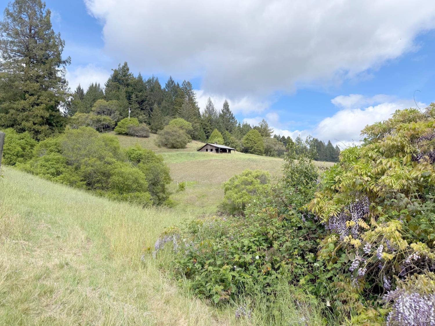 8900 Surprise Valley Road Comptche CA 95427