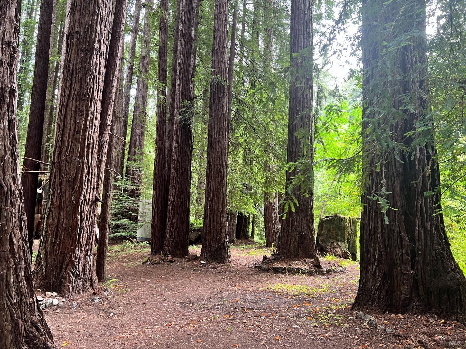 475 East Austin Creek Road Cazadero CA 95421