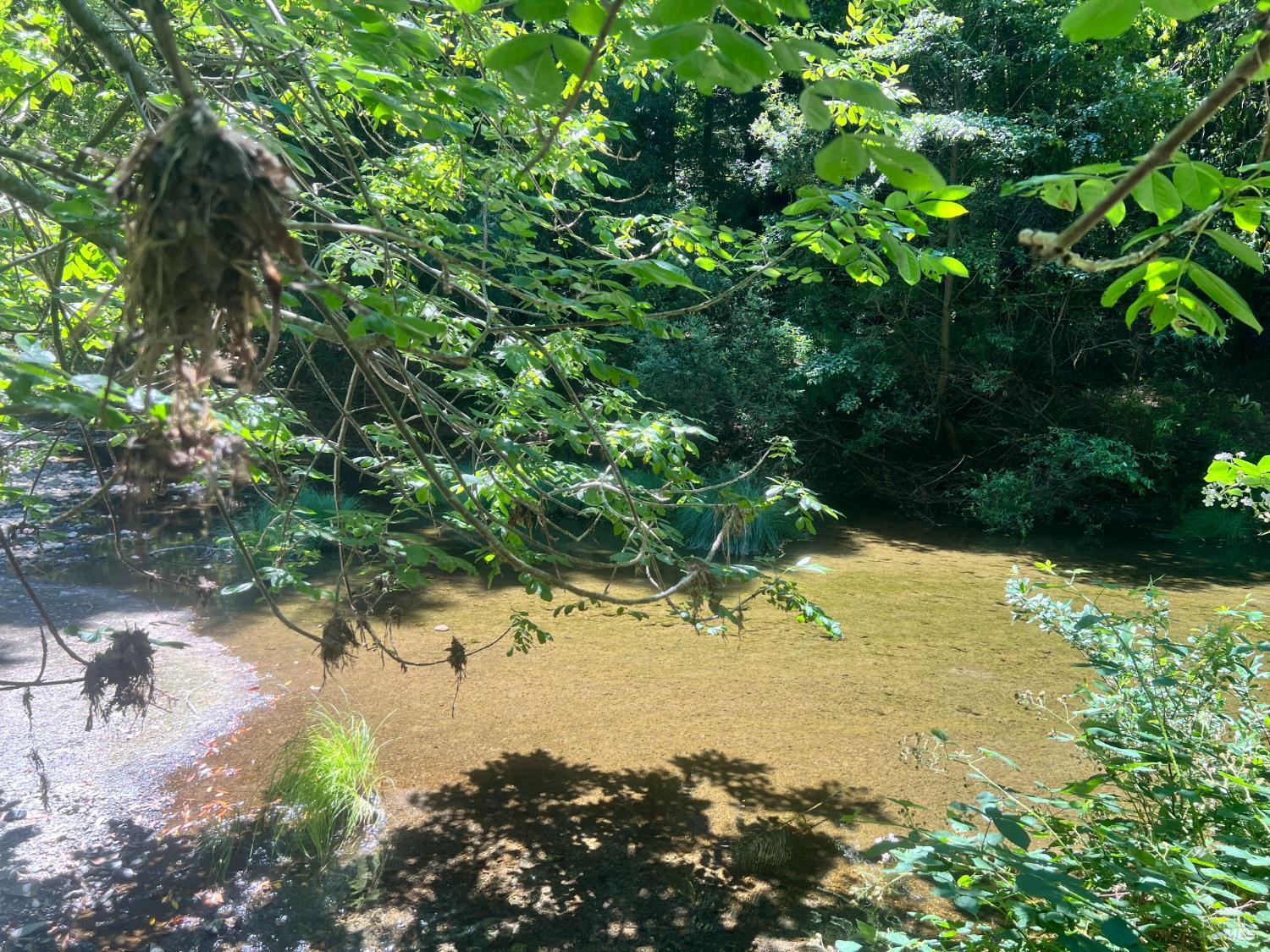 475 East Austin Creek Road Cazadero CA 95421