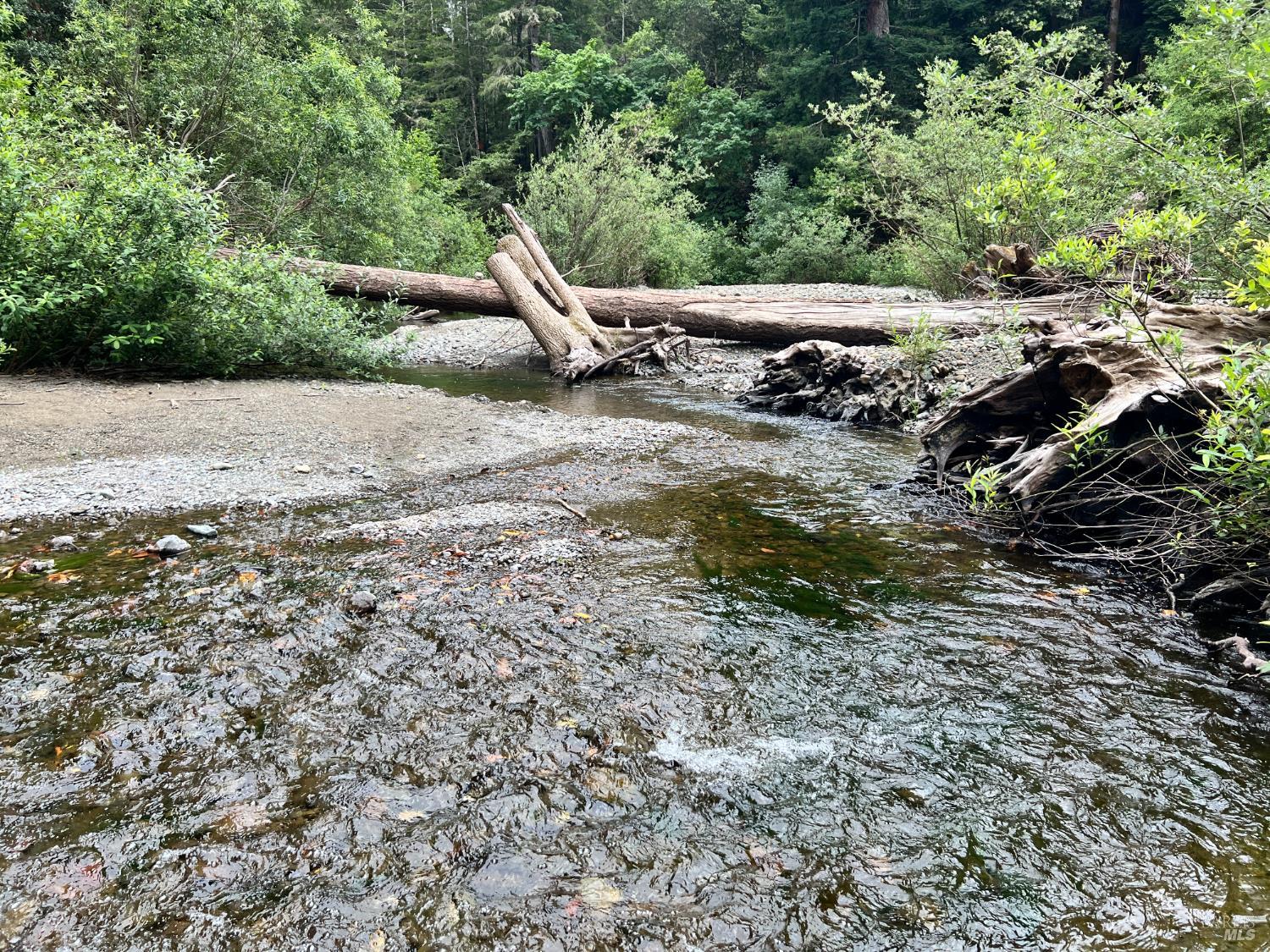 475 East Austin Creek Road Cazadero CA 95421