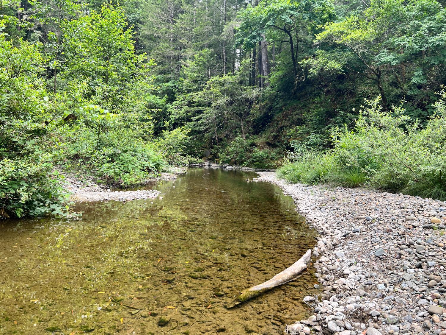 475 East Austin Creek Road Cazadero CA 95421