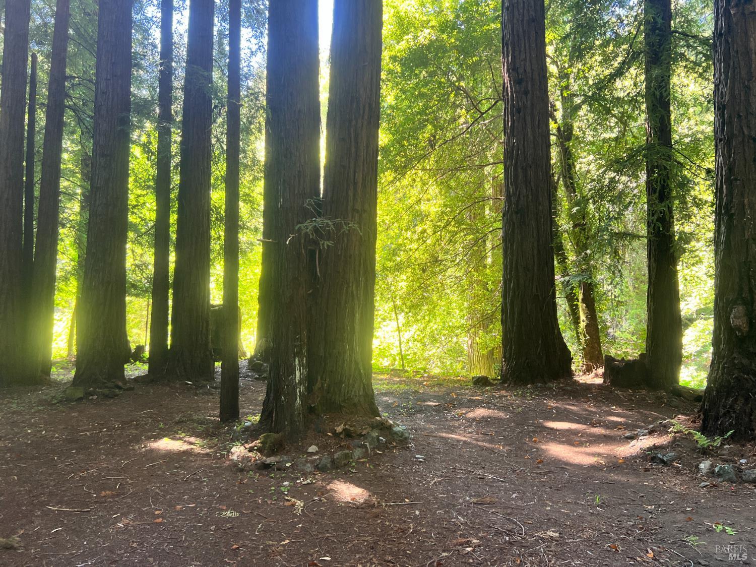 475 East Austin Creek Road Cazadero CA 95421