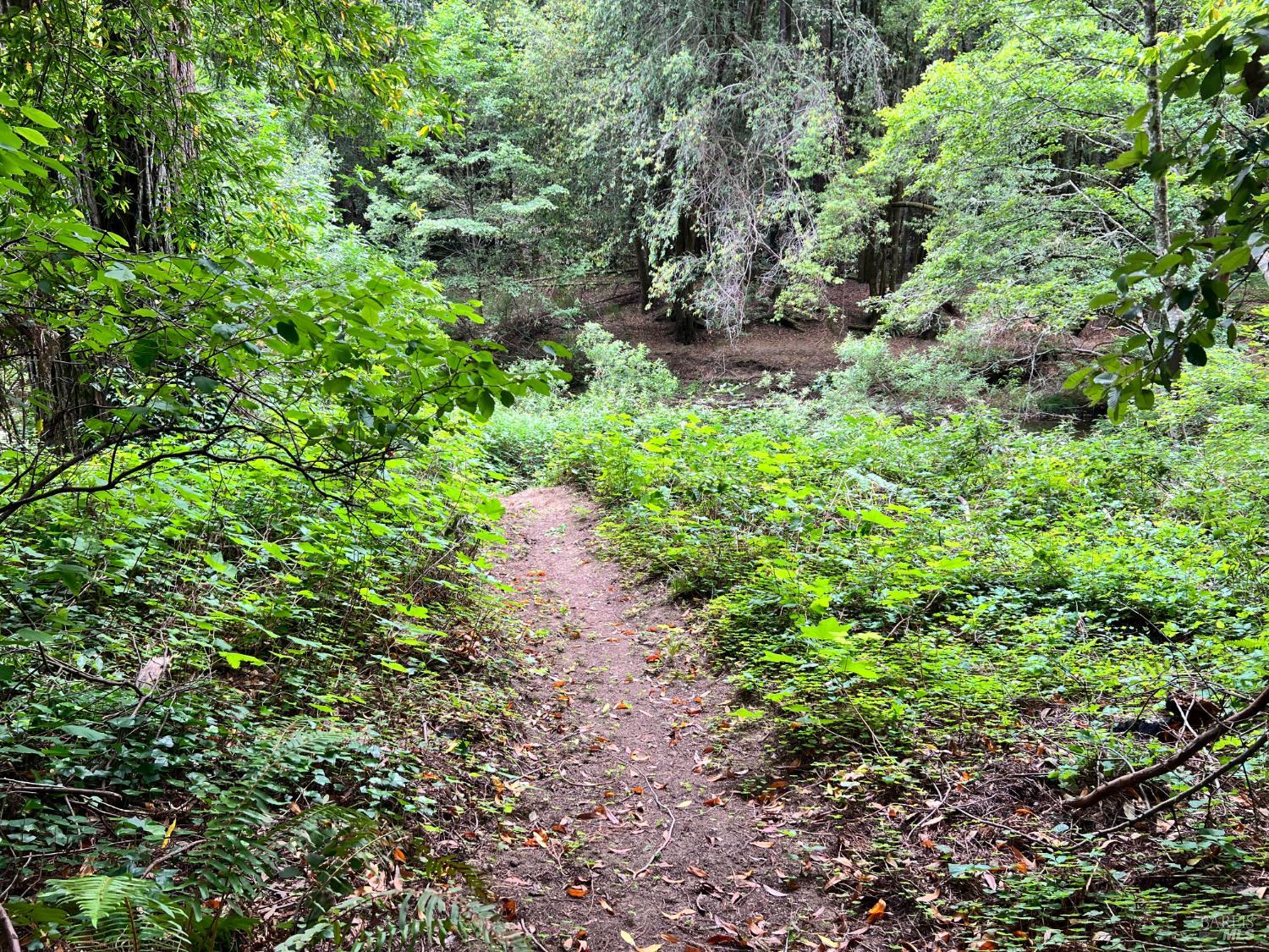475 East Austin Creek Road Cazadero CA 95421