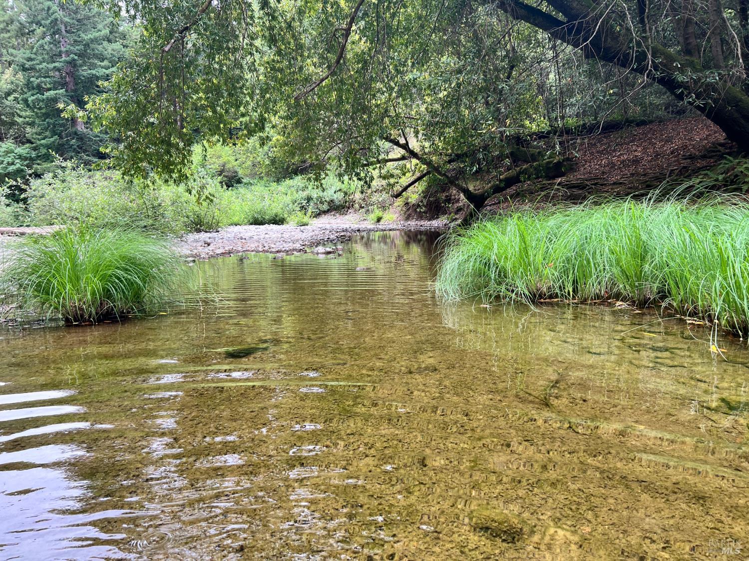 475 East Austin Creek Road Cazadero CA 95421
