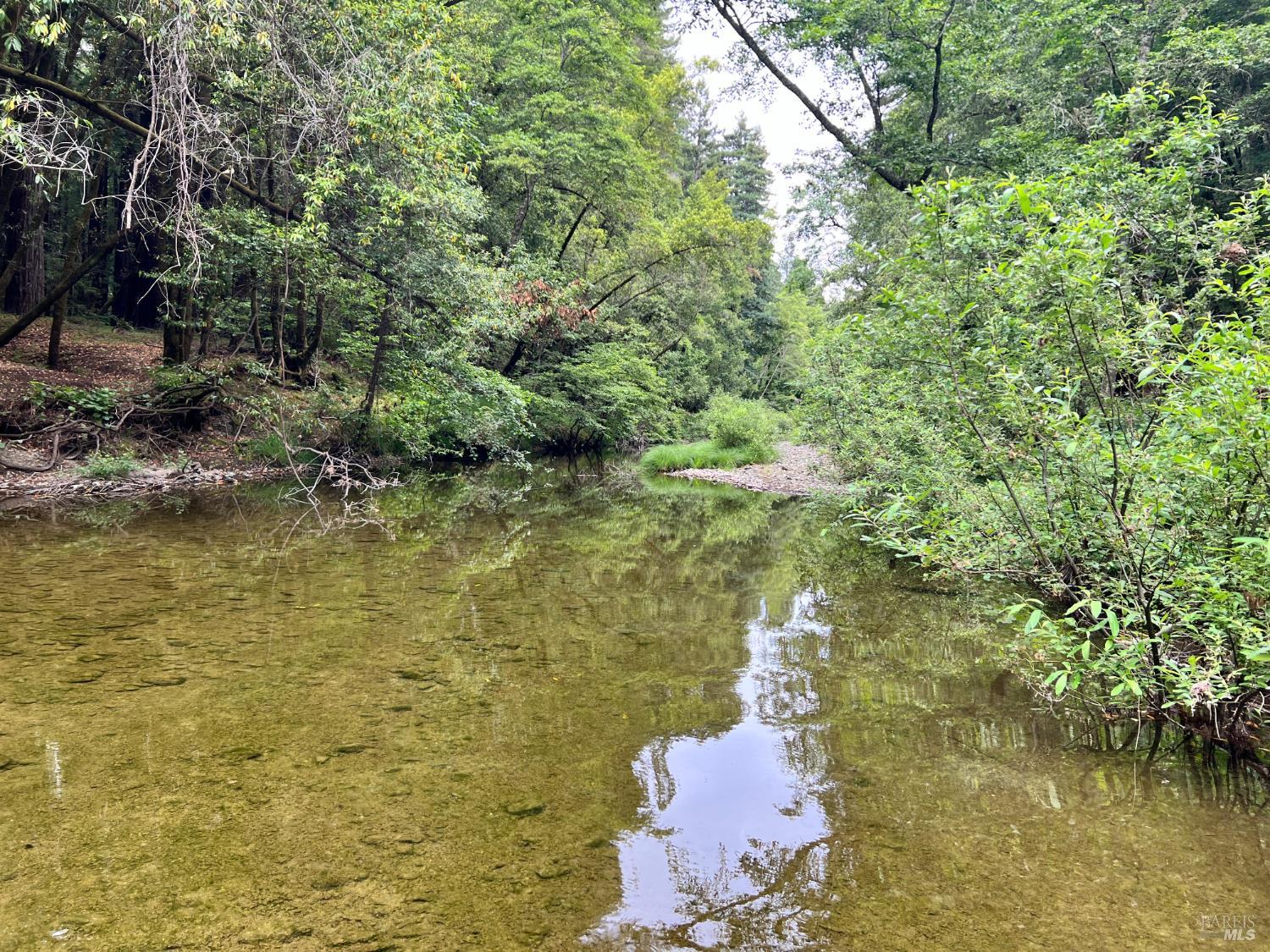 475 East Austin Creek Road Cazadero CA 95421