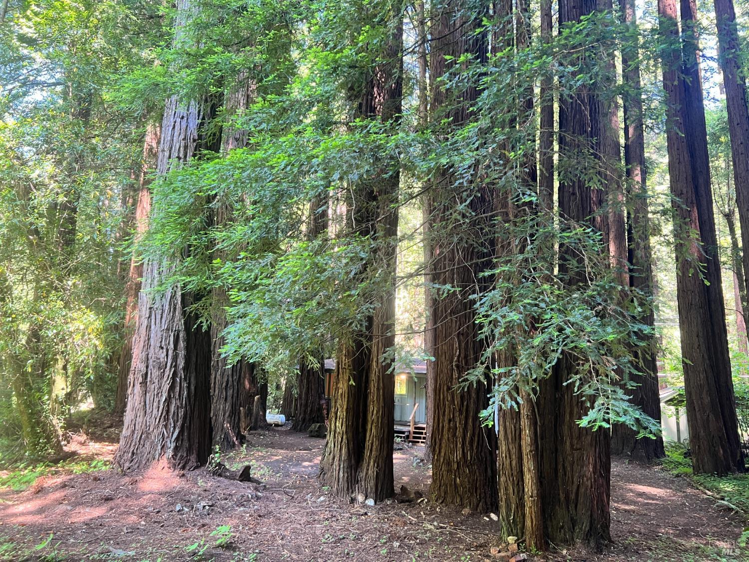 475 East Austin Creek Road Cazadero CA 95421