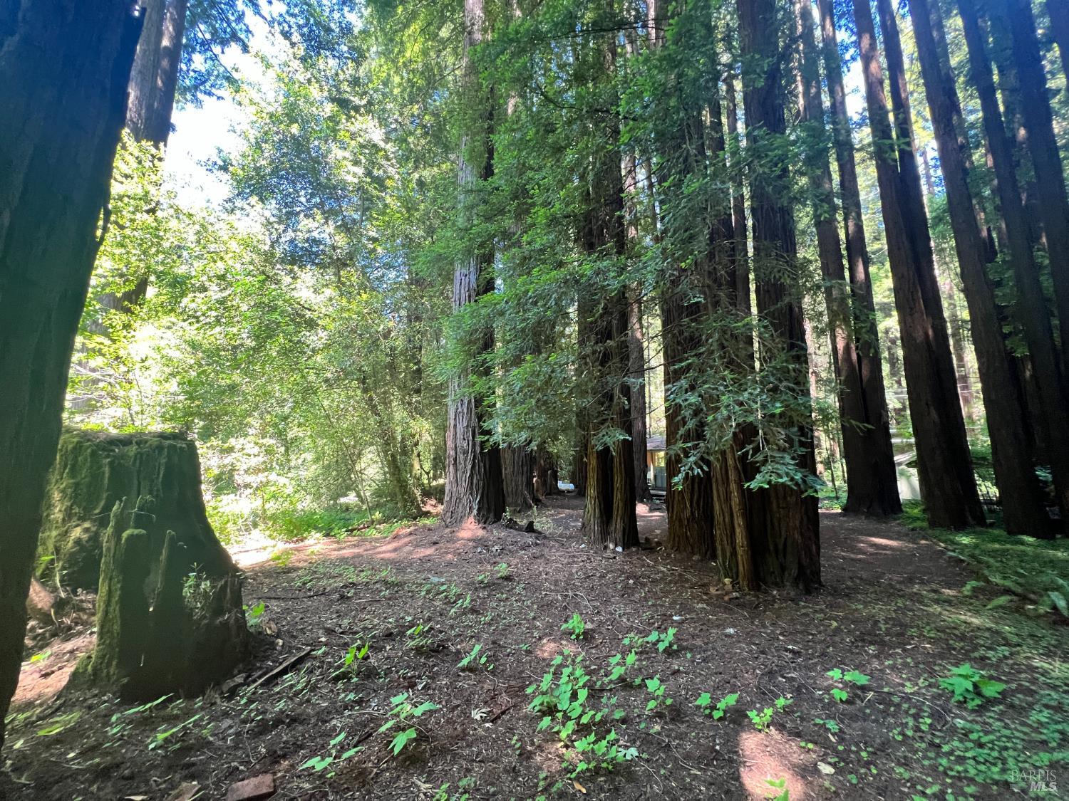 475 East Austin Creek Road Cazadero CA 95421
