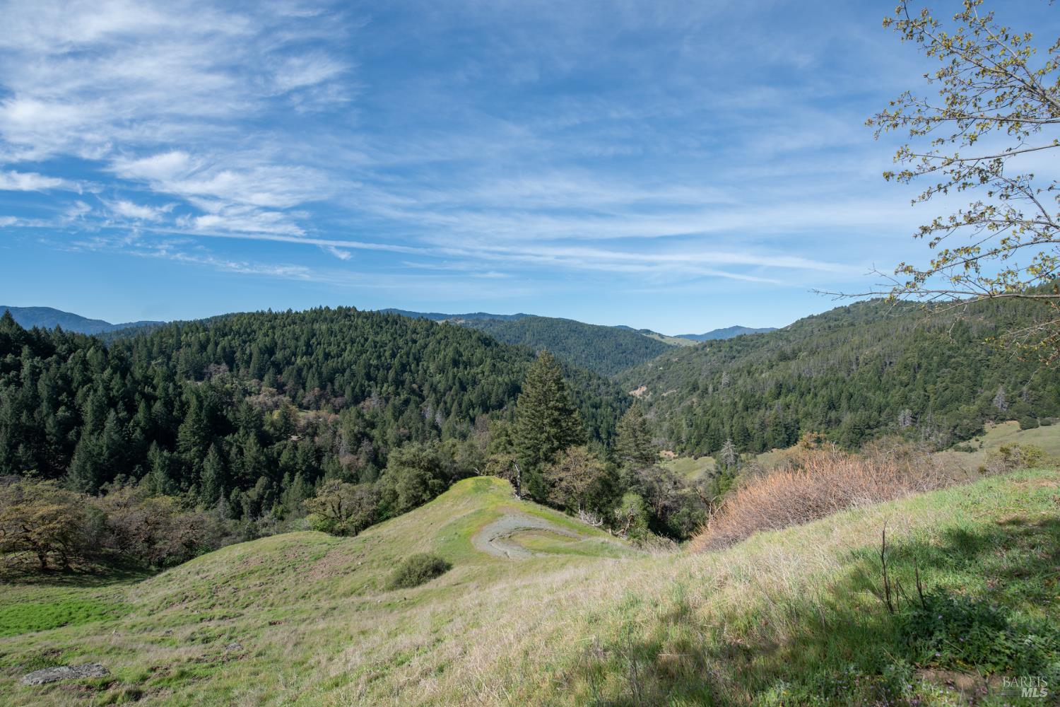 54021 Wildwood Drive Laytonville CA 95454