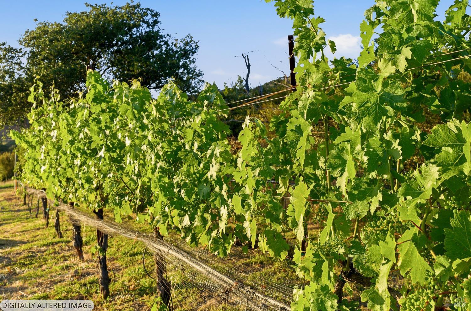 2520 Atlas Peak Road Napa CA 94558