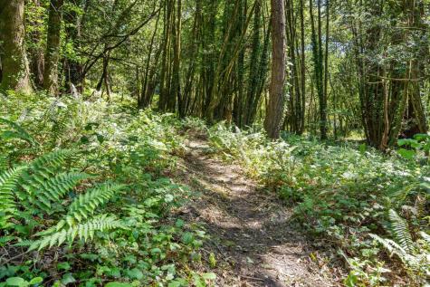 805 Wagnon Road Sebastopol CA 95472