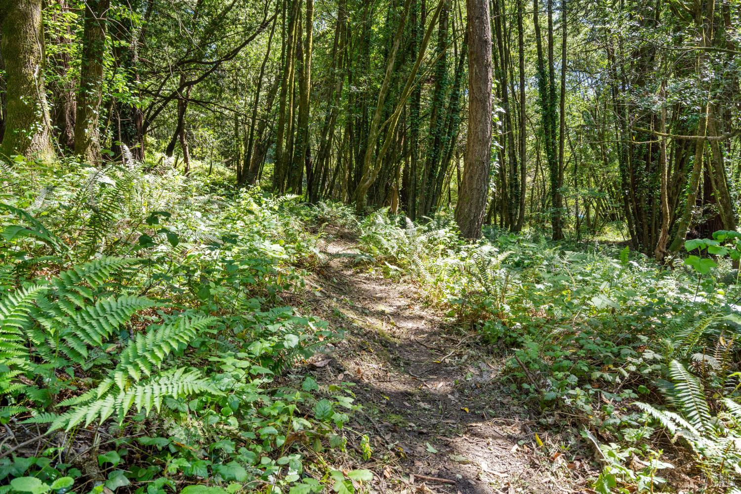 805 Wagnon Road Sebastopol CA 95472