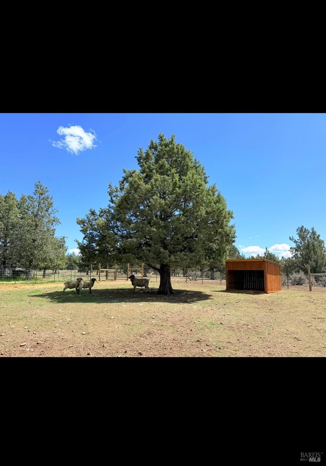 3004 Pencil Road Alturas CA 96101