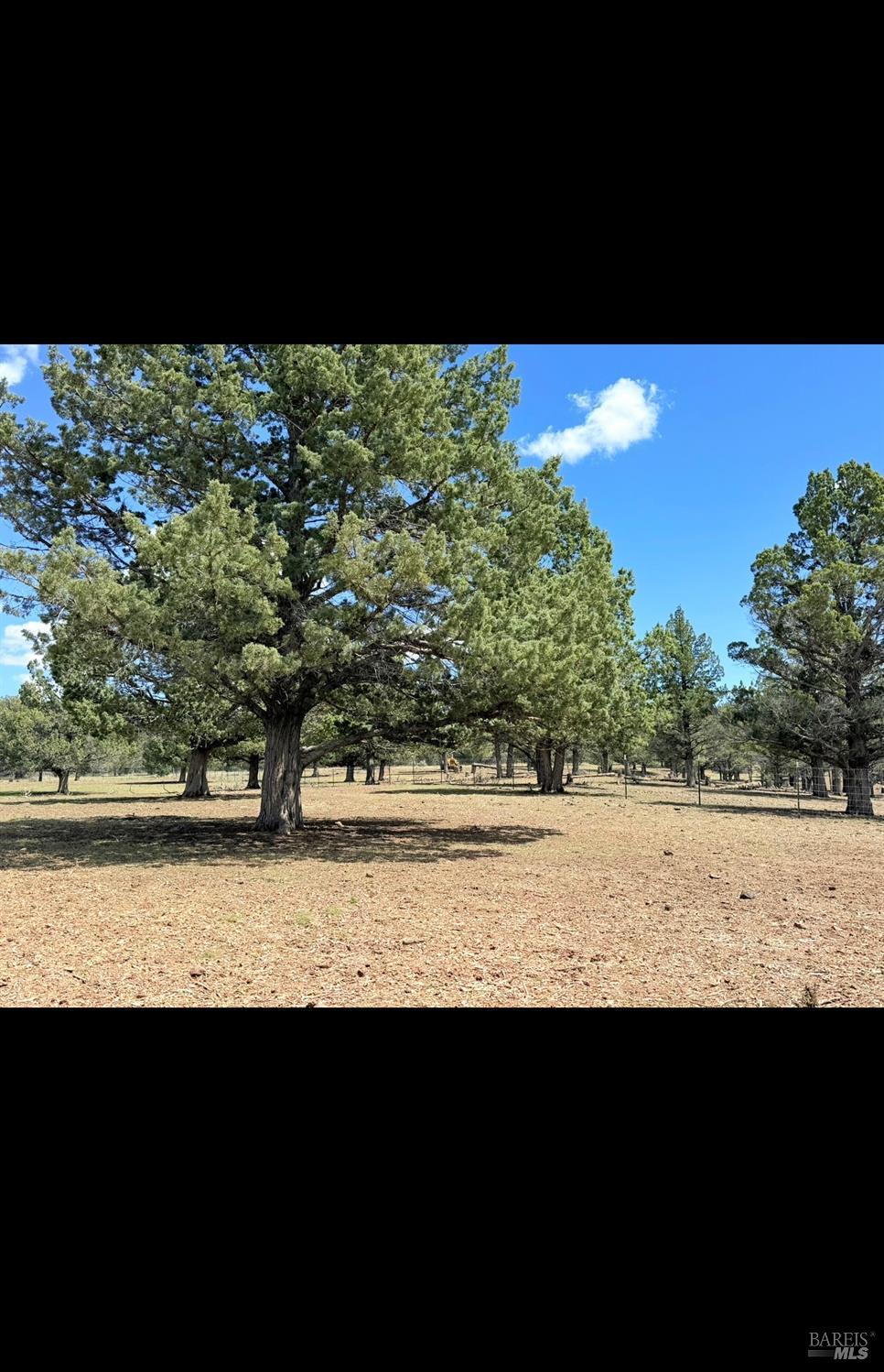 3004 Pencil Road Alturas CA 96101