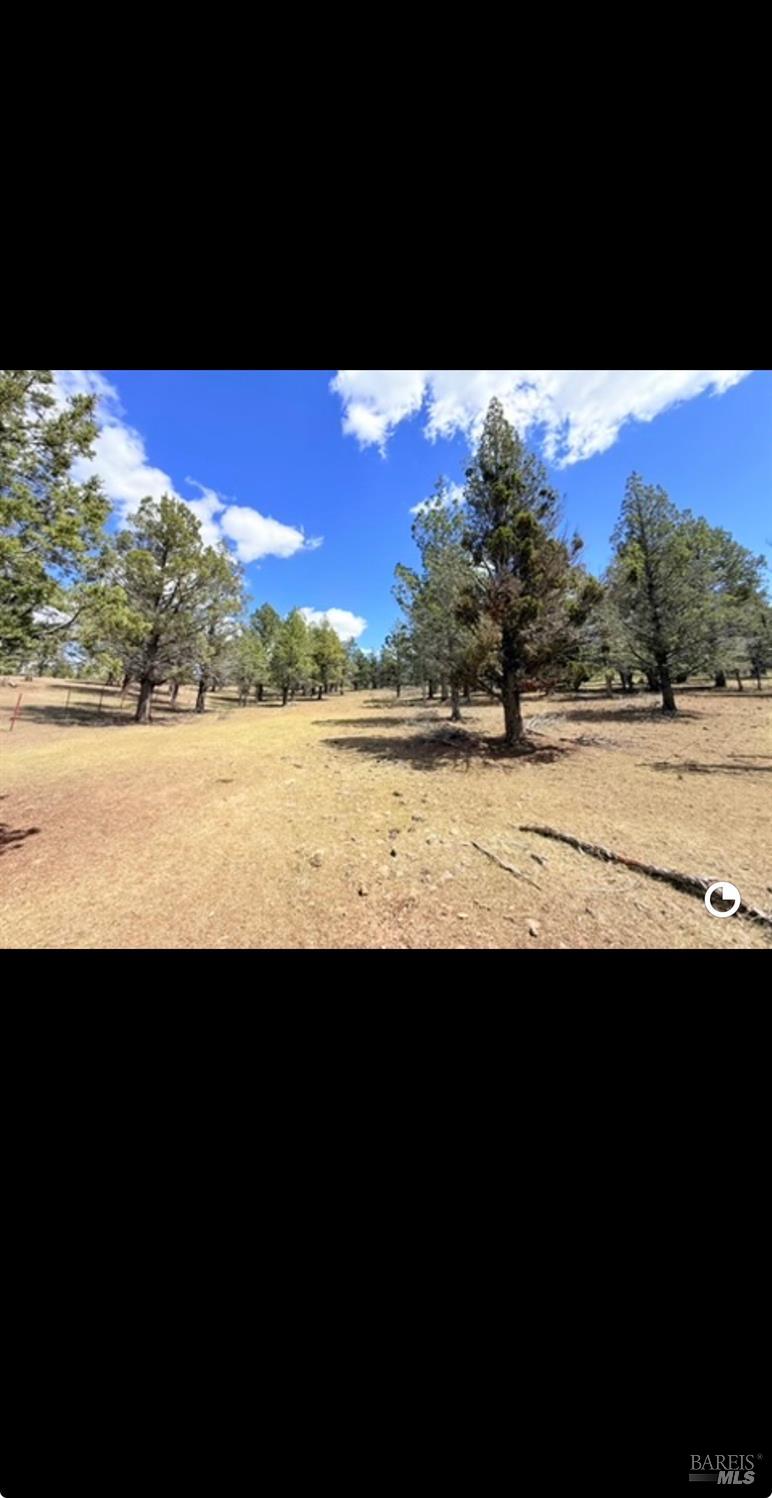 3004 Pencil Road Alturas CA 96101