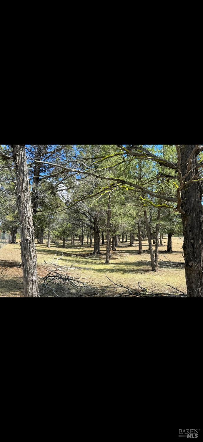 3004 Pencil Road Alturas CA 96101