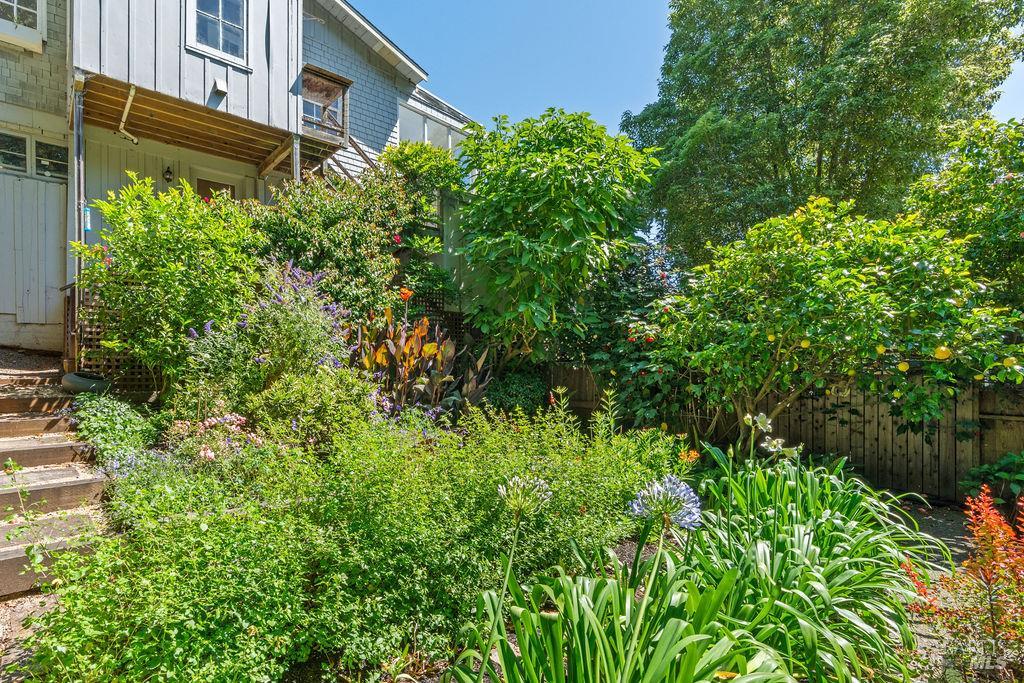 411 Main Street Sausalito CA 94965