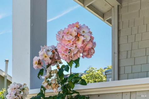 411 Main Street Sausalito CA 94965